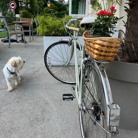 Savoy Hotel Le Bourget-du-Lac